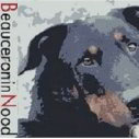 beauceron in nood